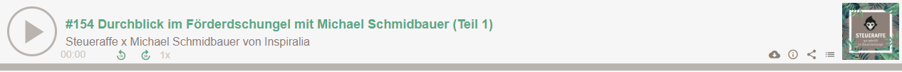 Steueraffe Podcast Teil 1 Förderdschungel